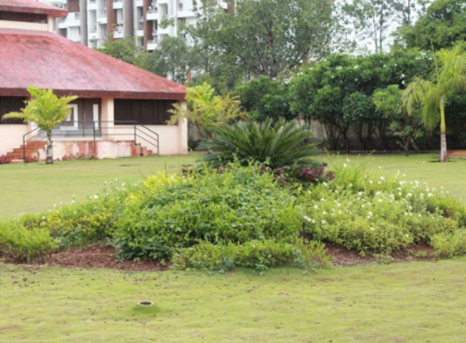 Shrubbery beds at Sector 15 Garden